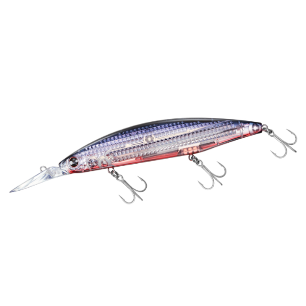 ショアラインシャイナーZ　セットアッパーFB　125SDR－LI(ＬＩカタクチレッドベリー)